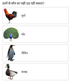 four different types of birds and their names in the english speaking book, which includes two pictures