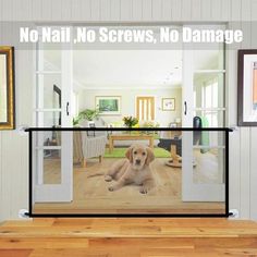 a dog is sitting on the floor in front of an open glass door with a view of a living room through it