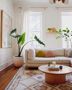 a living room with a couch, coffee table and potted plant in the corner