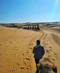 a group of people riding horses down a sandy road