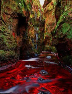 red water flowing down the side of a mountain stream in a canyon with green mossy rocks