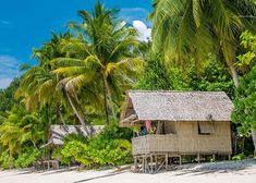 a hut on the beach surrounded by palm trees