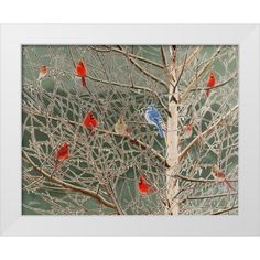 a group of red and blue birds sitting on top of a tree