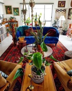 a living room filled with lots of furniture and plants on top of a coffee table