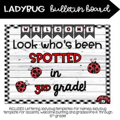 ladybug bulletin board with the words, look who's been spotted in 3rd grade