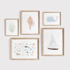 four framed pictures hang on the wall above a boat, whale, and sailboat