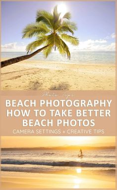 a palm tree on the beach with text overlay that reads, how to take better beach photos