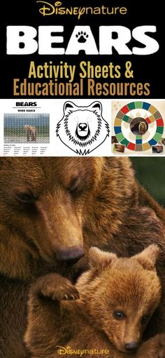 an adult bear and her cub cuddle together in their arms with the caption bears activity sheets & educational resources