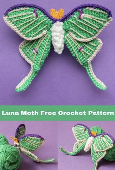 the instructions for how to make a crocheted moth