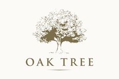 the oak tree logo is shown in brown and beige colors, with an image of a tree