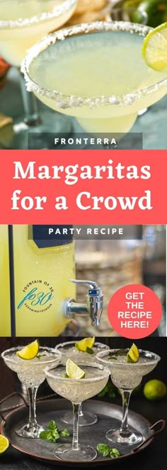 margaritas for a crowd party recipe