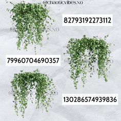 the numbers are written in different languages and have green plants growing out of their letters