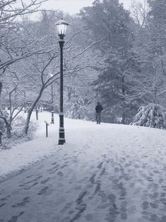 a person walking down a snow covered path