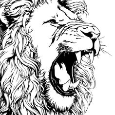 a black and white drawing of a lion's head with its mouth open showing teeth