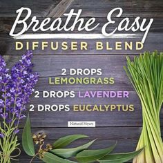 Bathroom Diffuser Blends, Easy Diffuser Blends, Bathroom Diffuser, Essential Oil Blends For Colds, Essential Oils Roller, Relaxing Essential Oils, Essential Oils For Colds