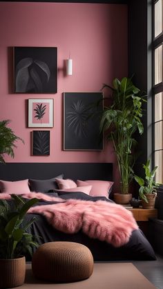 a bedroom with pink walls and black bedding, potted plants and pictures on the wall