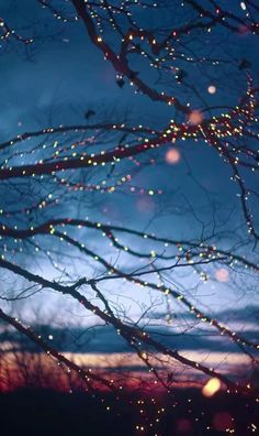 a tree with some lights hanging from it's branches in front of a cloudy sky