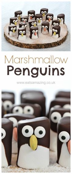 the cover of marshmallow penguins is shown with chocolate penguinies in front of them