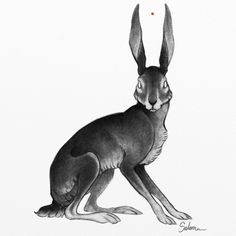 a black and white drawing of a rabbit