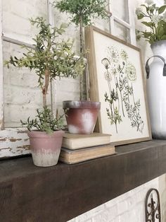 some potted plants are sitting on a mantle