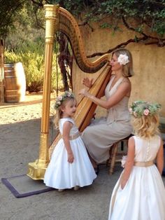 Sunstone Winery Wedding, Enchanted Forest Baby Shower, Violin Photography, Old Musical Instruments, Musician Portraits, Forest Baby Showers, Ibiza Wedding