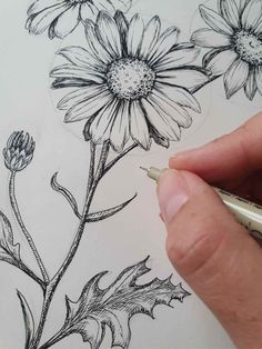 someone is drawing flowers on paper with a pen