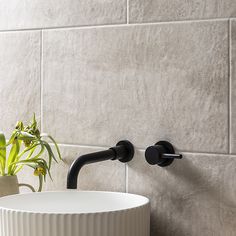 a bathroom sink with a black faucet next to a potted plant on the wall