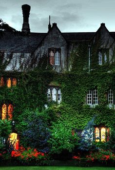 an old building covered in ivy and lit up by the light of candles at night