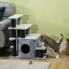 a cat standing in front of a grey cat tree with its paw on it's tail