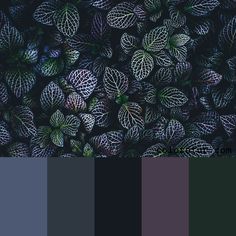 the color scheme is black and grey, with green leaves on it's sides