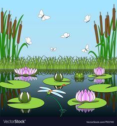 water lilies and dragonflies in the pond with grass, reeds and butterflies