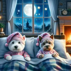 two dogs sitting on top of a bed in front of a window with the night sky