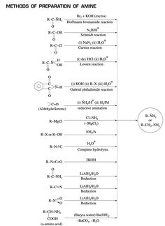 the diagram shows how to read and understand an experiment in which each reaction is represented