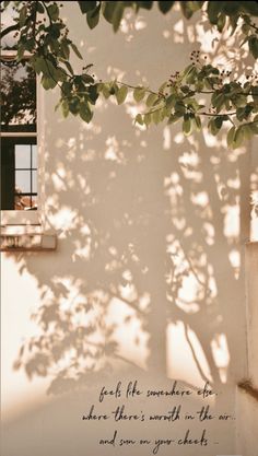 a tree casting a shadow on a wall with a quote below it that reads for all the wonders ever, there's something in the air and give your checks