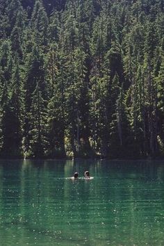 two people swimming in a lake surrounded by tall pine trees and evergreen forest behind them