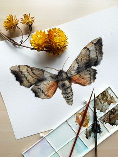 a butterfly sitting on top of a piece of paper next to some paint and flowers