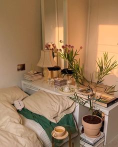 a bedroom scene with focus on the bed and plant in the corner near the mirror