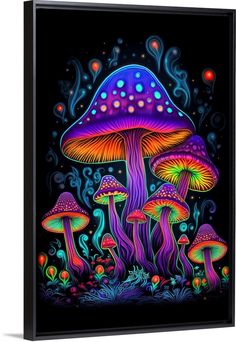 colorful mushrooms on black background with bright colors framed canvas wall art print by artist unknown