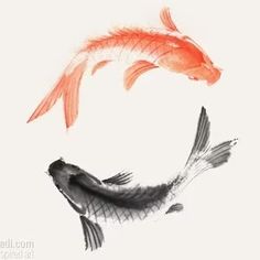 two goldfish swimming in the water with each other's tail curled around their tails