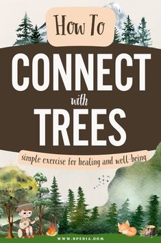 How to Connect with Trees #connectwithtrees #trees #tree #treespirit #treeenergy #forestbathing #foresttherapy #healingtrees #treeconnection #connect #connectwithnature #naturetherapy Connecting To Nature, Connect To Nature, Find Your Way Back, Forest Ecosystem, Old Oak Tree, Tree Spirit, Forest Bathing, Find Your Way, Early Readers