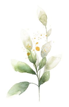 Buquê de aquarela de folhas verdes e douradas Green Flowers Watercolor, Green Floral Art, Leafs Watercolor, Botanical Prints Free, Coral Painting, Leaf Watercolor, Watercolor Green, Watercolor Bouquet, Drawing Activities