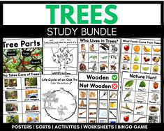 trees study bundle with pictures and words