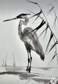 a painting of a bird standing in the water