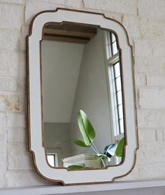 a mirror hanging on the wall next to a fireplace with a plant in front of it