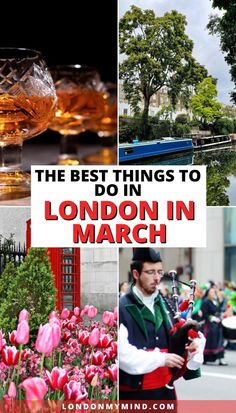 the best things to do in london in march, including tulips and flowers