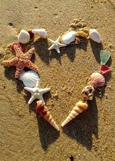 starfish and seashells arranged in the shape of a heart