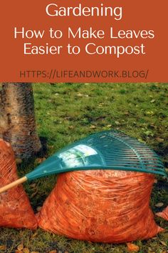 Garden And Yard - How to Make Leaves Easier to Compost Making Compost For Garden, How To Compost Leaves, When To Add Compost To Garden, What Not To Compost, How To Make A Compost Pile, Garden Soil Mix