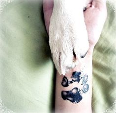 a dog's paw and paw prints on the arm