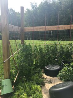 the garden is full of green plants and some black trash cans in front of it