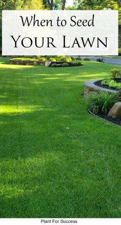 a lawn with the words when to seed your lawn in front of it and an image of